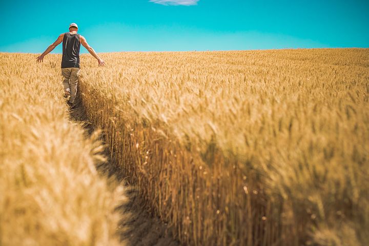 Farmer images